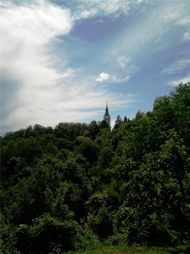 pogled