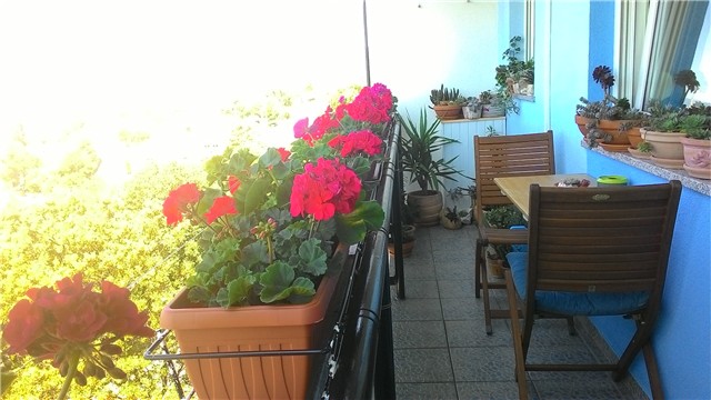 moj balkon