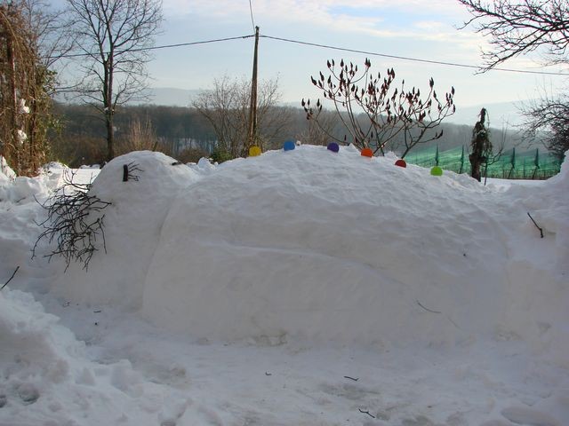 snjegovička siječanj 2013