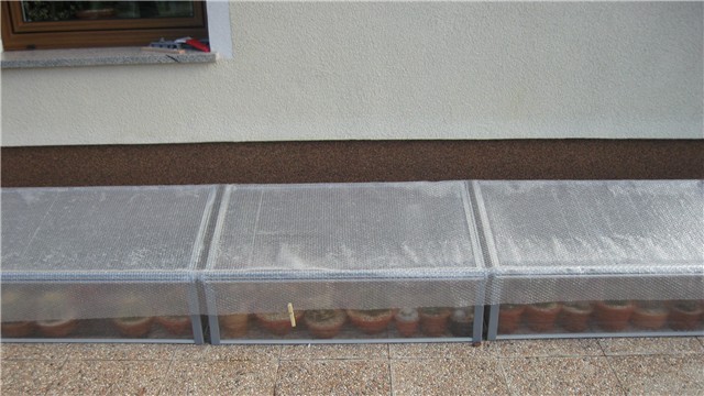 plastenici