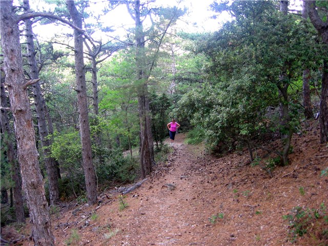 Lošinj