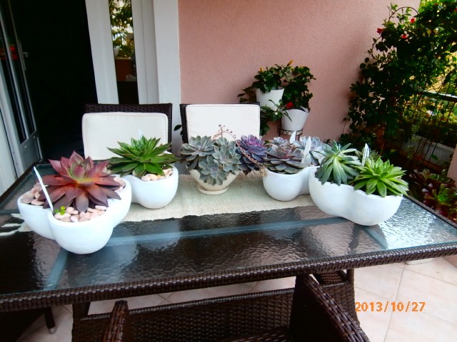 echeverie