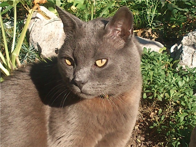 moj vrtić