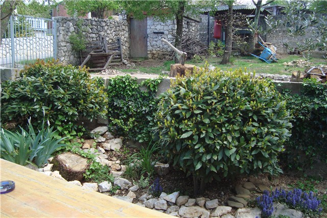 slike vrta
