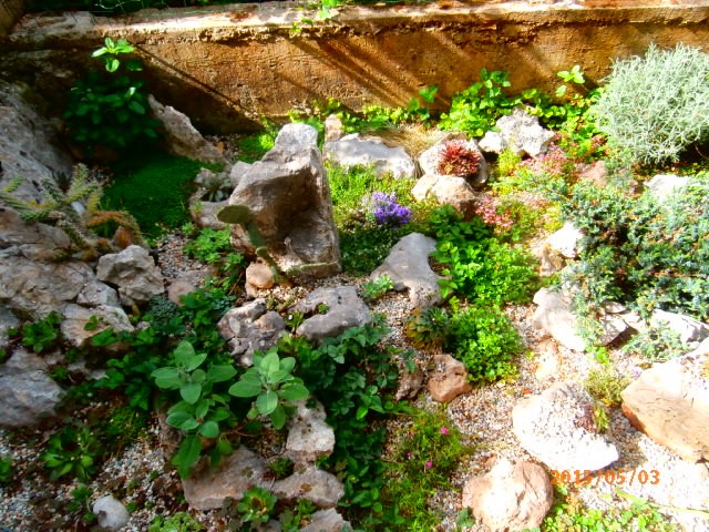 kamenjar