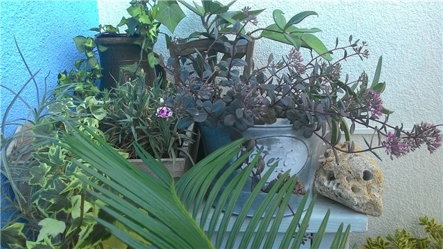 moj balkon