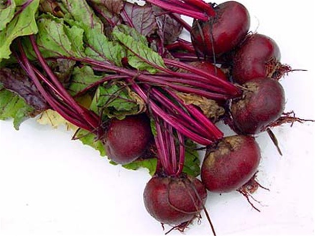 Cikla