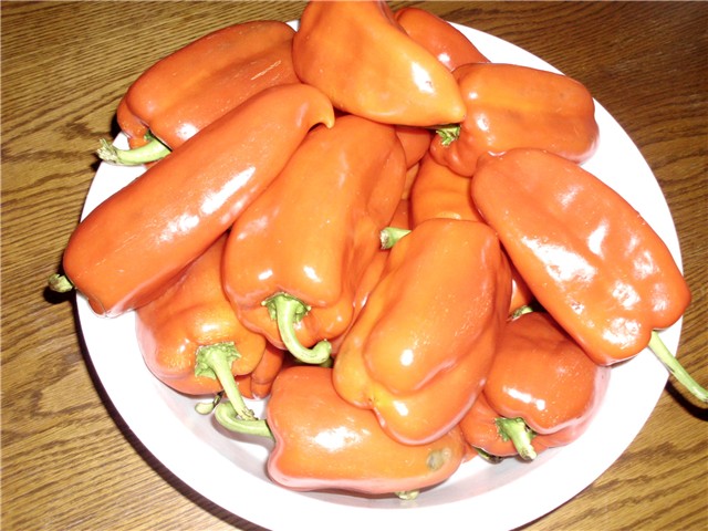  paprika roga