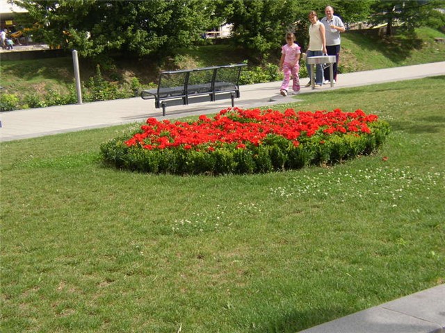 Vukovar cvijece