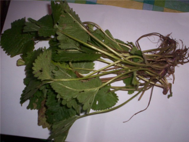 Horti%20-flanci%20