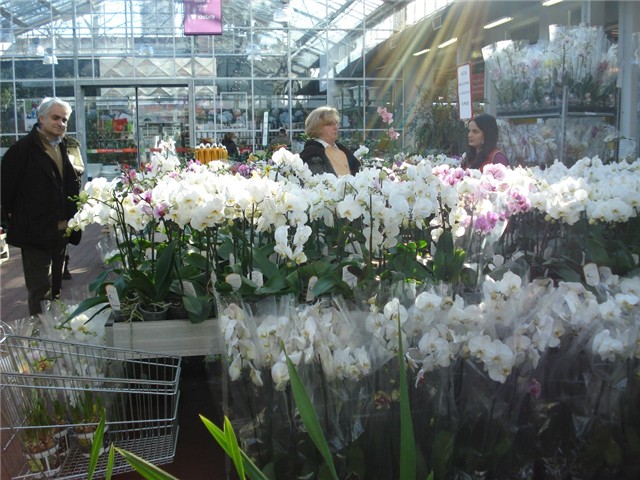 kalia 14.01. 2012