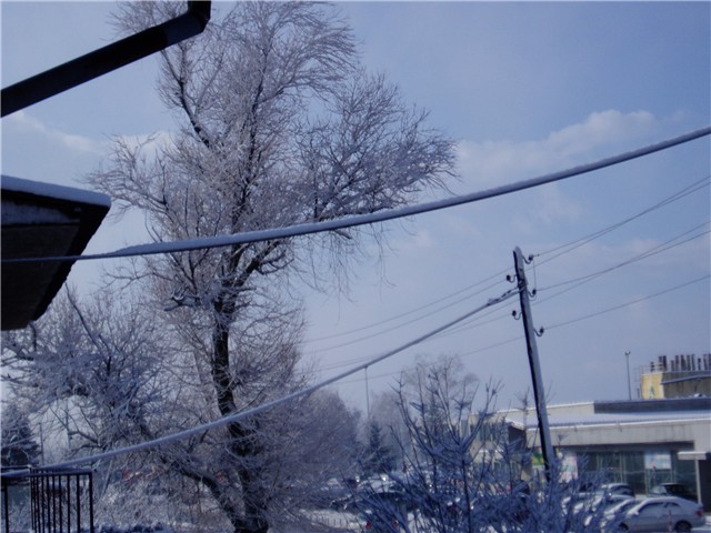 vrbovec