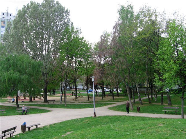 Drveće Gajnica6
