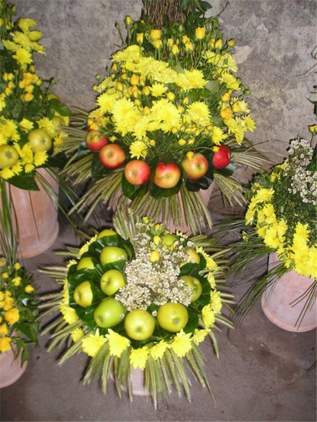 Dioklecijanovi podrumi