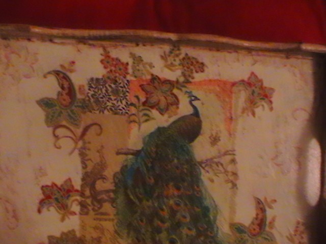 paun tacna