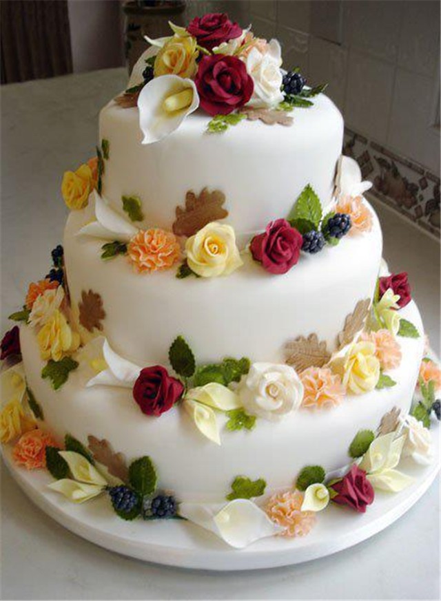 TORTA 