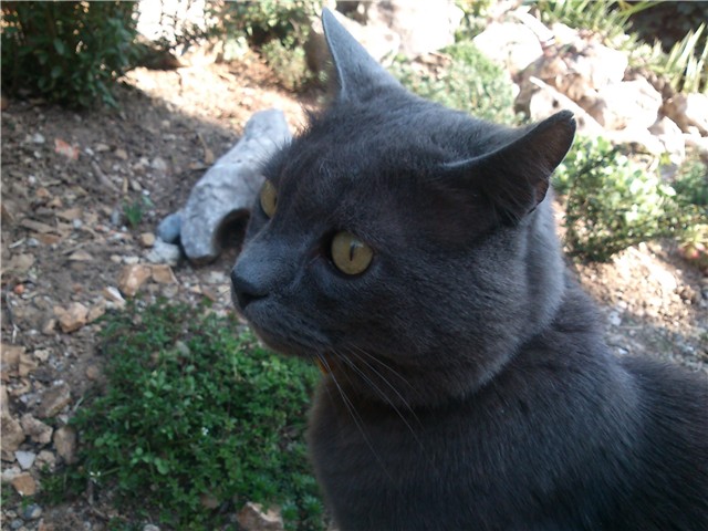 moj vrtić