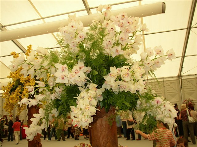 Flora Art Zagreb