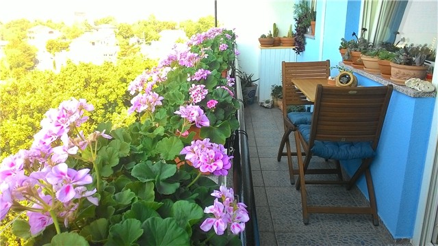 moj balkon