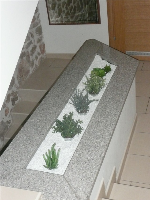 sukulenti