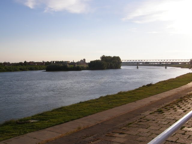 Pogled na Savski most