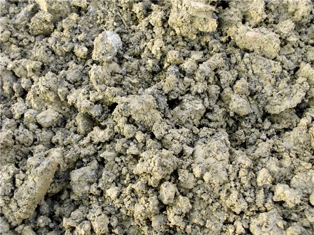  plastenik1