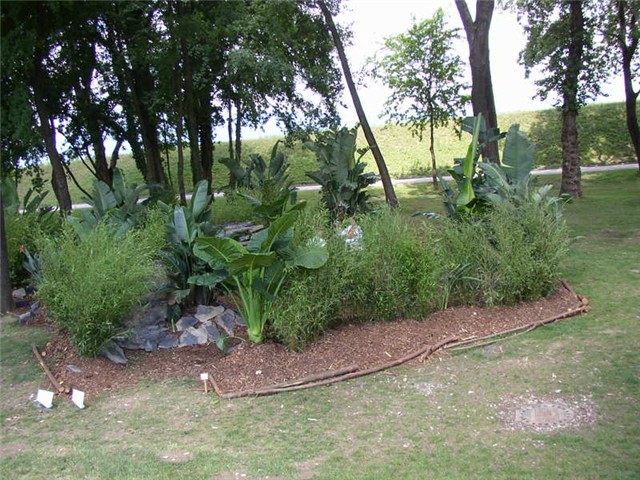 Flora Art Zagreb
