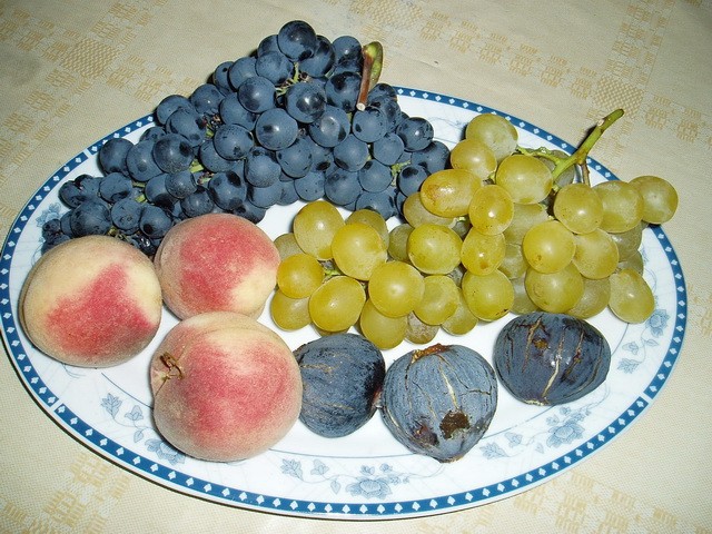 Plodovi juga