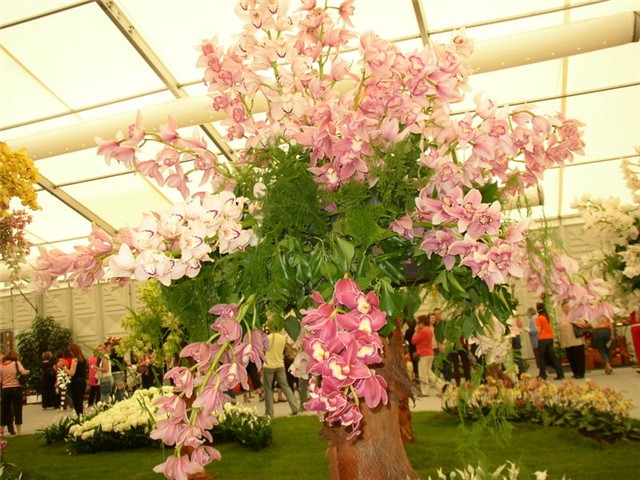Flora Art Zagreb