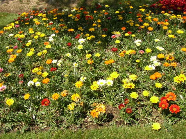 Flora Art Zagreb
