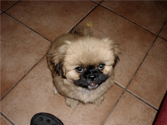 Đurđa5