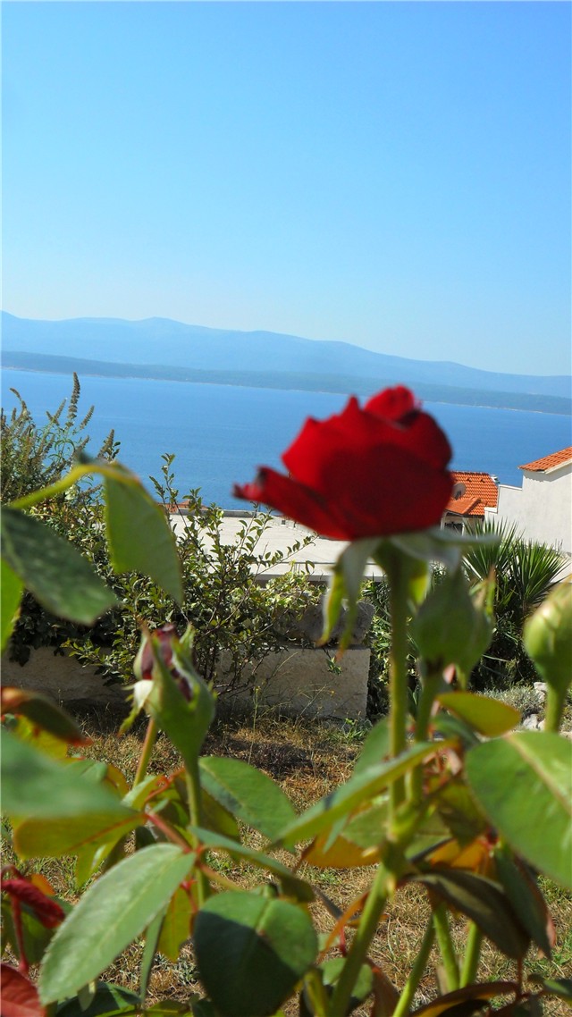 Brač 10.09.2011