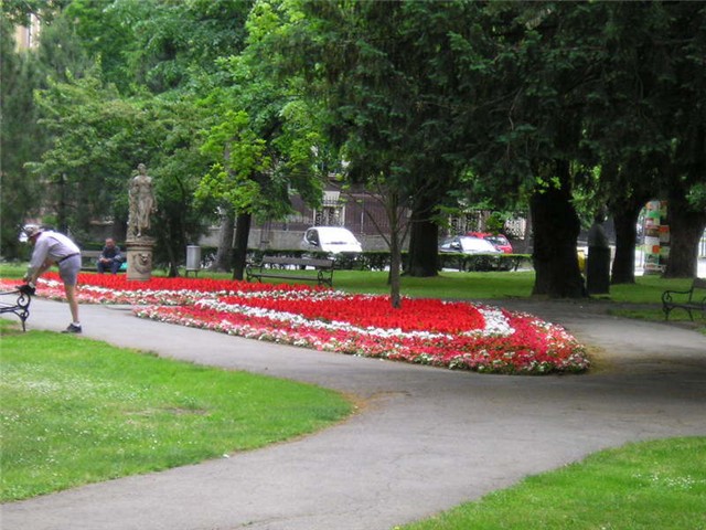 Osijek cvijece