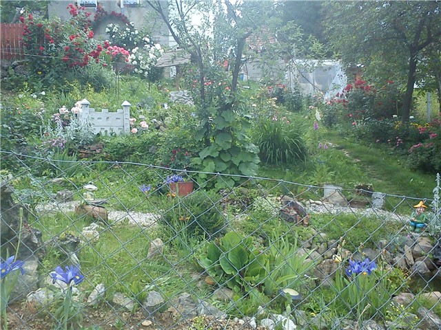 dvorište