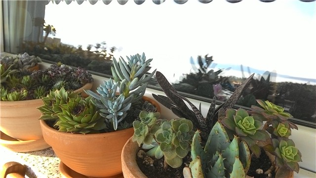 moj balkon