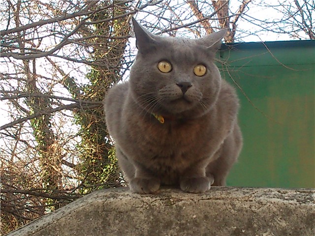 moj vrtić