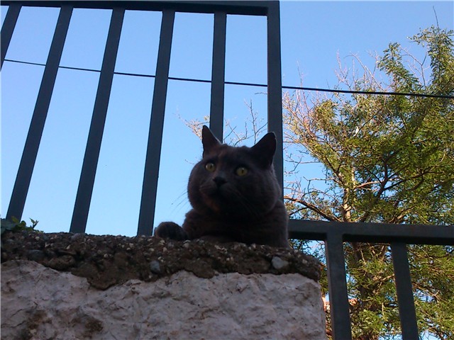 moj vrtić