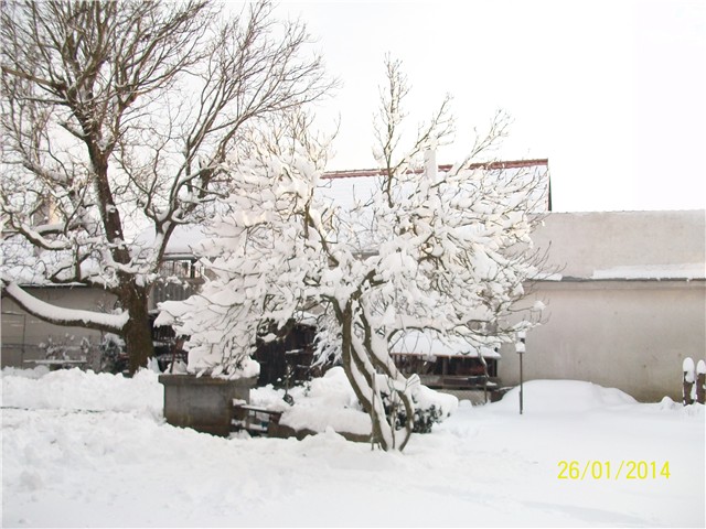 zima 2014.