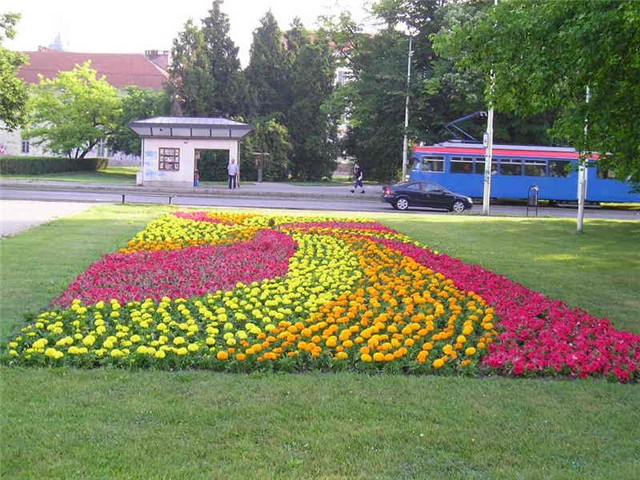 Osijek cvijece