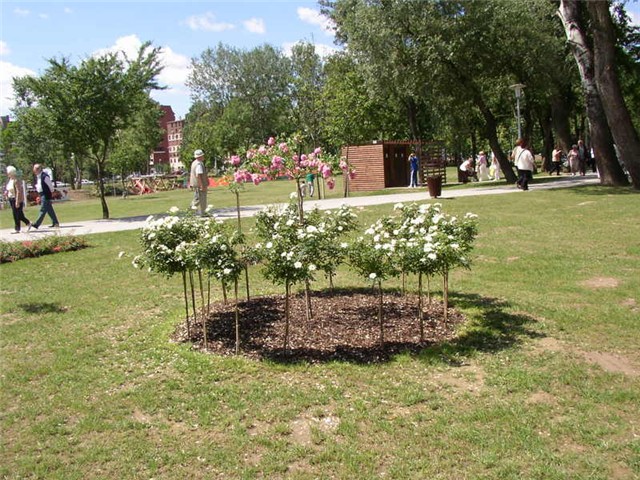 Flora Art Zagreb
