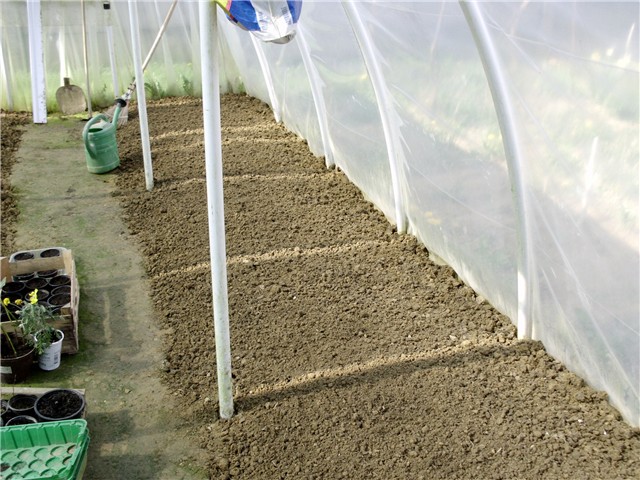 plastenik4