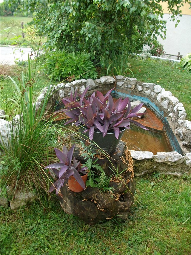fontana