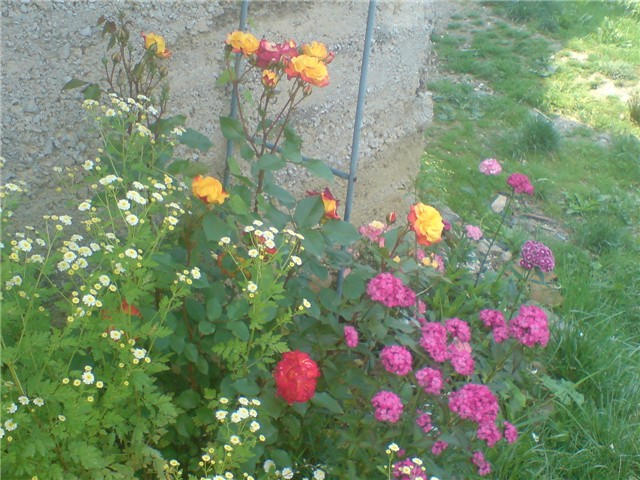 sve%20i%20svasta