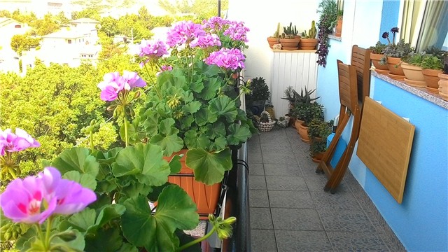 moj balkon
