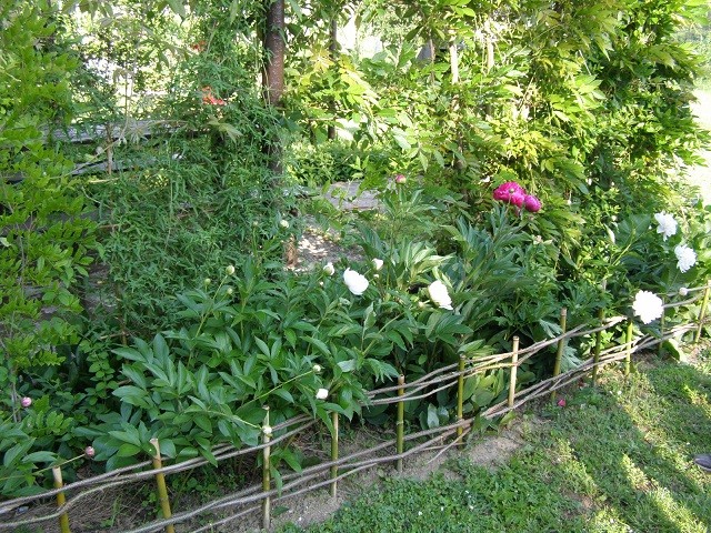 a.bistrica6