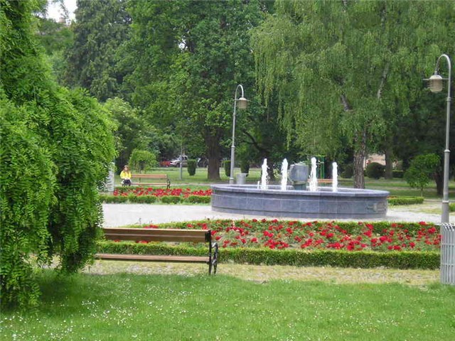 Osijek cvijece