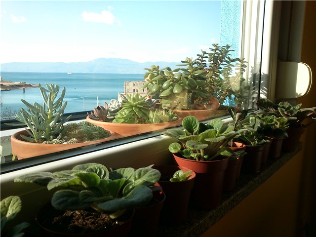 moj balkon