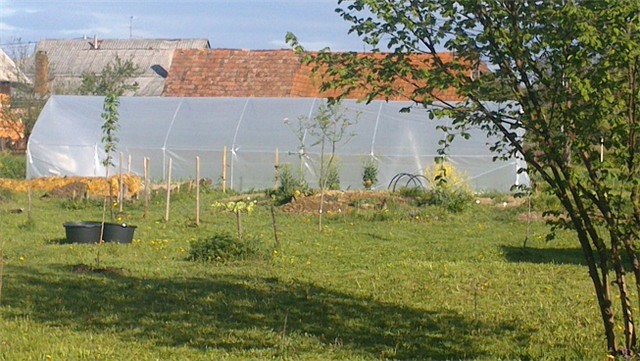 plastenik