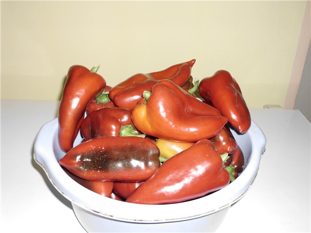 crvena roga 3