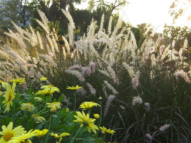 Botanicki vrt Zagreb